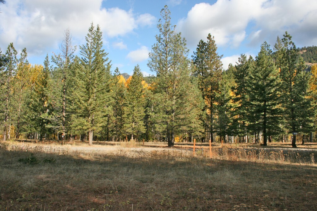 Property Photo:  6 Mazama Meadows Lane  WA 98833 