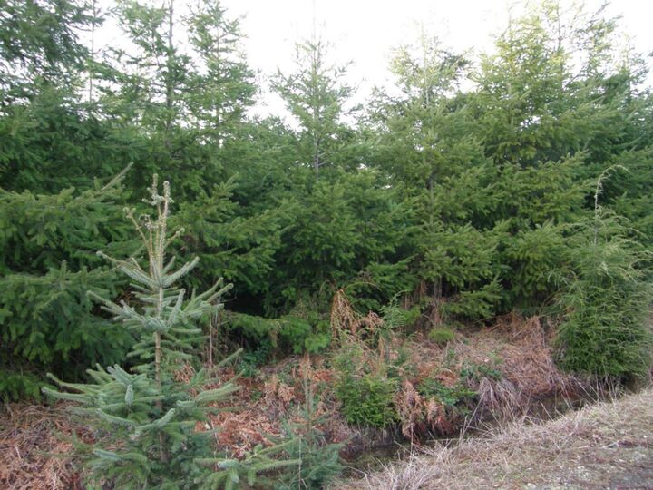 Property Photo:  0tract A1 Wynooche Valley Rd  WA 98563 