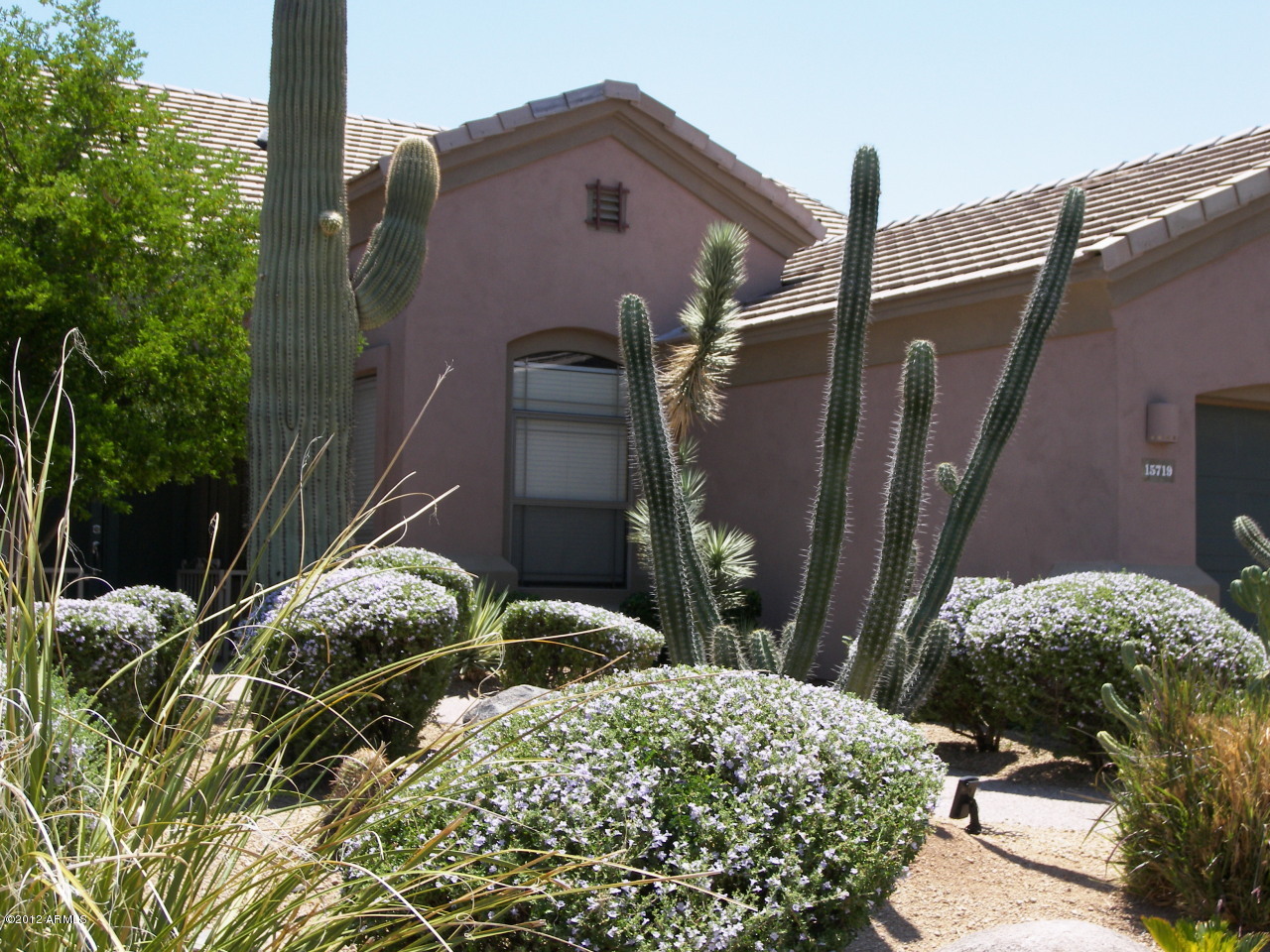 Property Photo:  15719 E Cactus Drive  AZ 85268 