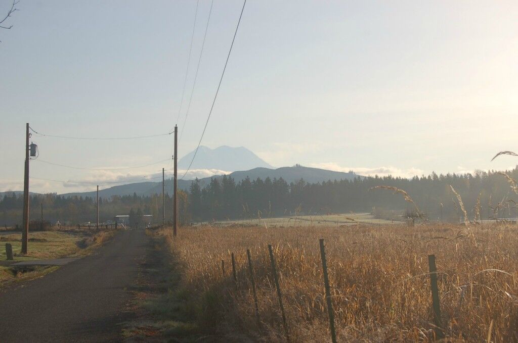 Property Photo:  8808 Guske Rd E  WA 98375 