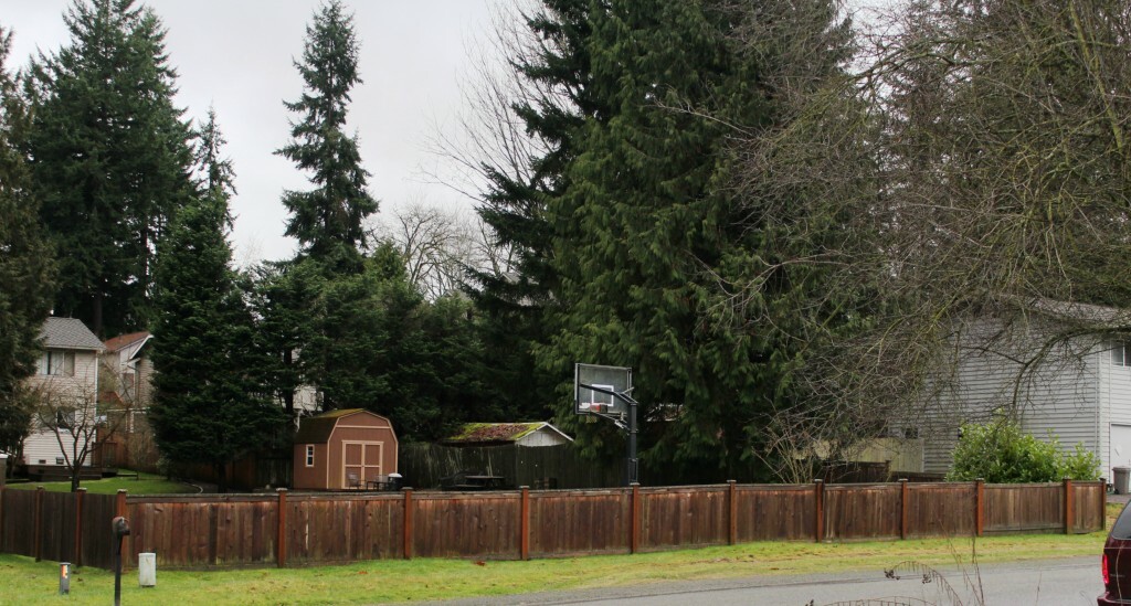 Property Photo:  50xx NE 24th St  WA 98059 