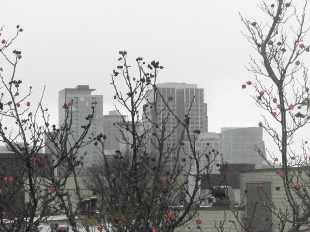 Property Photo: 211 Summit Ave E N308 WA 98102