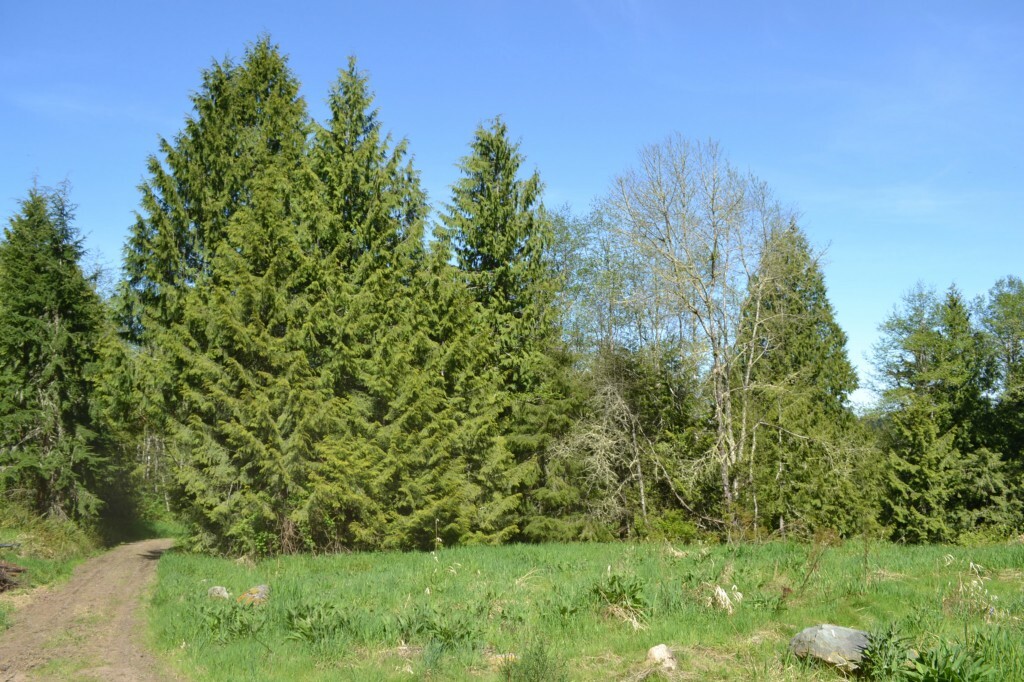 Property Photo:  1032 Old Eaglemount Rd  WA 98368 