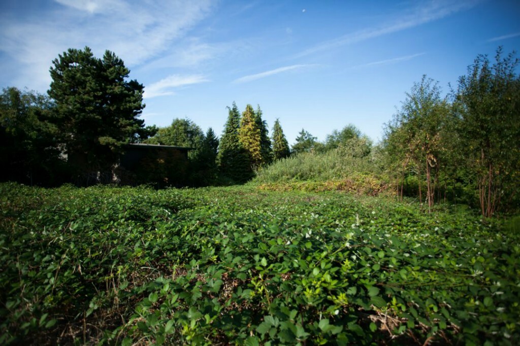 Property Photo: 942 S Sunset Dr WA 98465