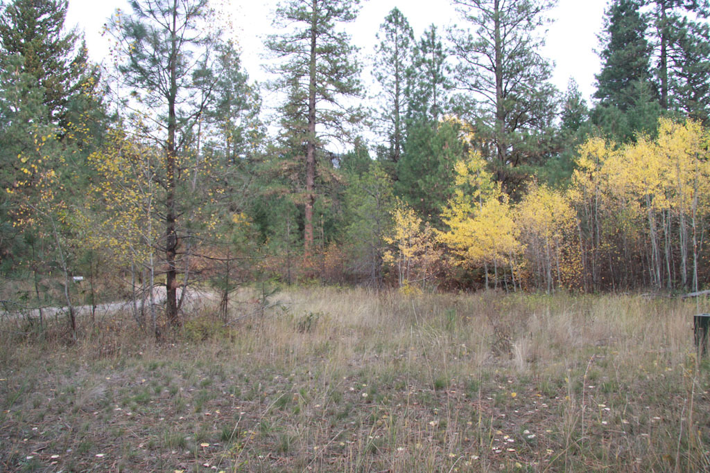 Property Photo:  0 Methow Ranch Rd  WA 98862 