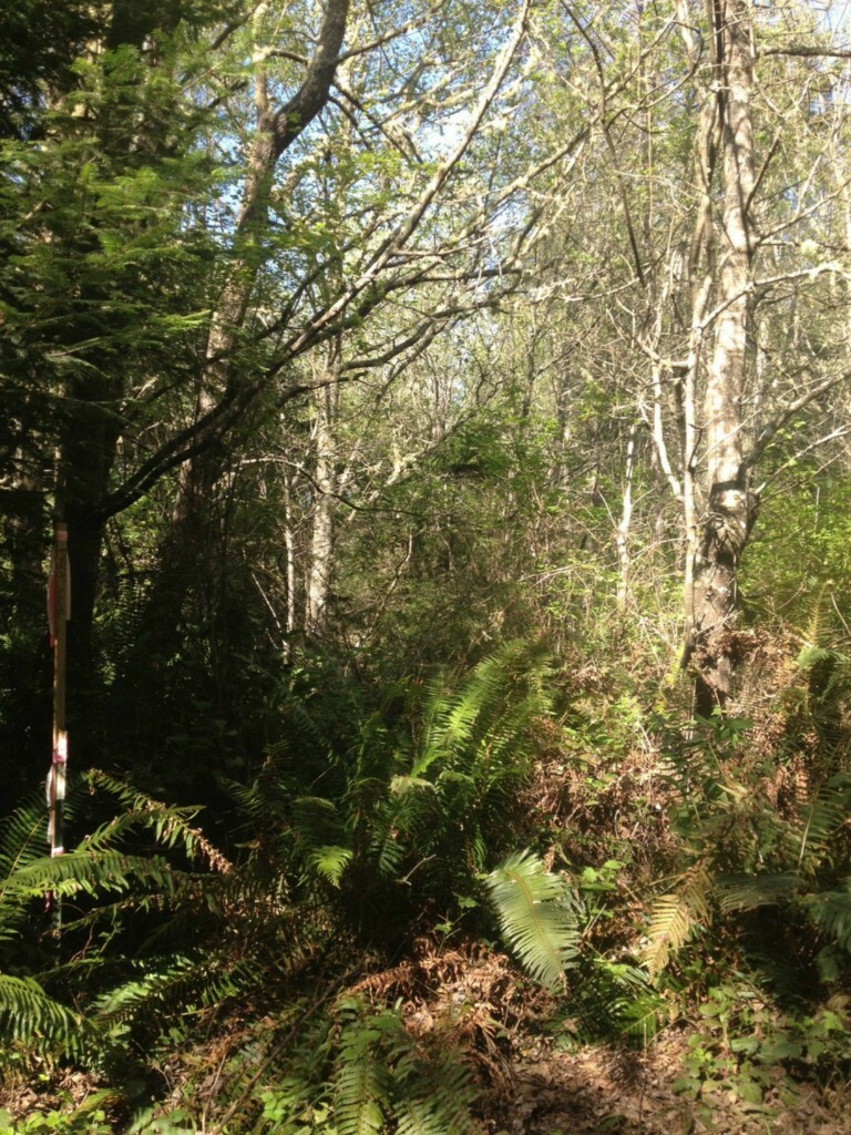 Property Photo:  0 Haada Laas Rd  WA 98368 