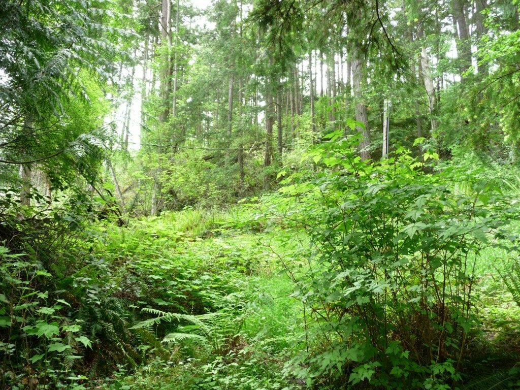 Property Photo:  2855 Aiston Creek Rd  WA 98262 