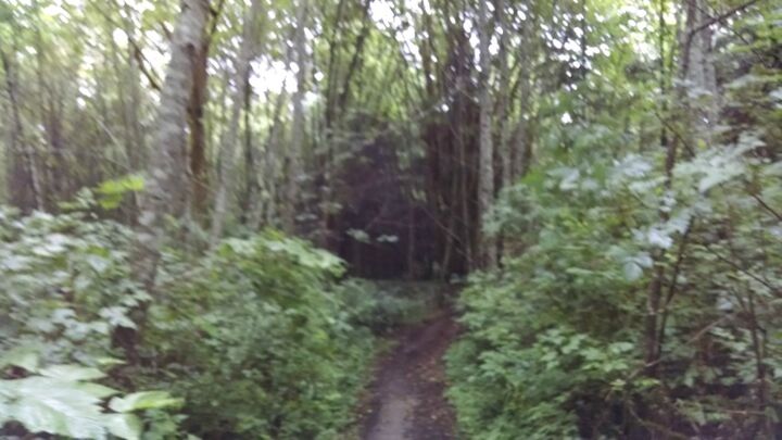 Property Photo: 4 Graystone Wy NW WA 98383
