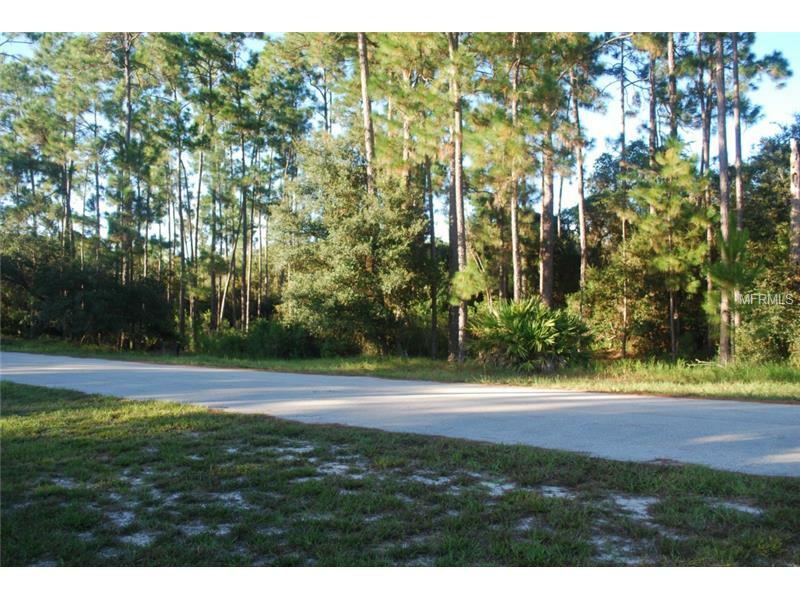 Property Photo:  Lot 138 Hill Stream Drive  FL 32732 