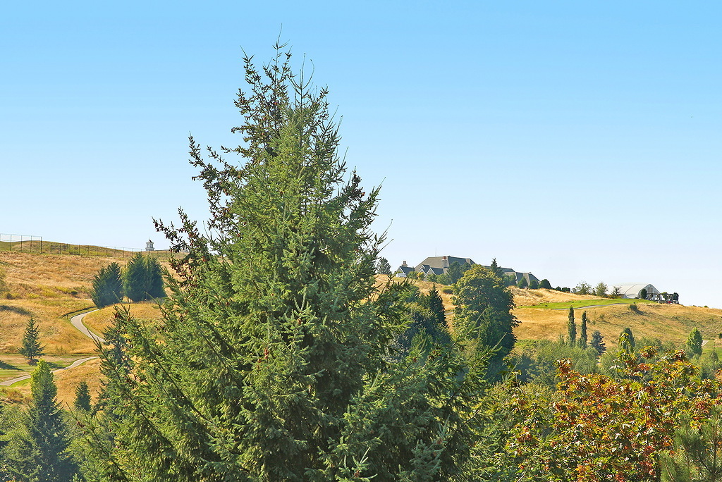 Property Photo:  15436 SE 67th Place  WA 98006 