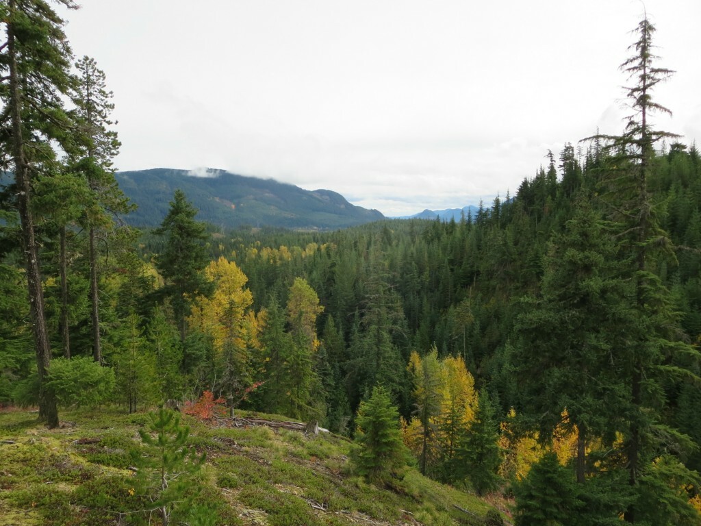 Property Photo:  603 Dandy Pass Road  WA 98925 