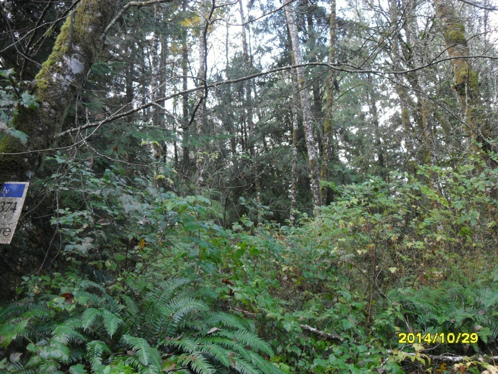 Property Photo:  12784 Eastbrook Dr SW  WA 98465 