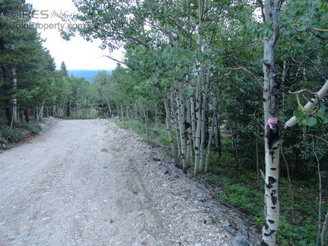 Property Photo: 0 Sherwood Rd CO 80466