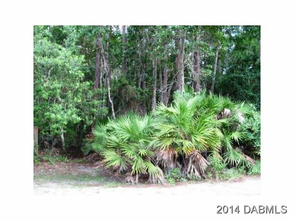 Property Photo:  172 Conifer Lane  FL 32174 