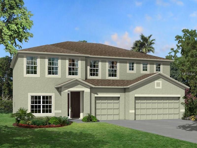 Property Photo:  19417 Whispering Brook Drive  FL 33647 