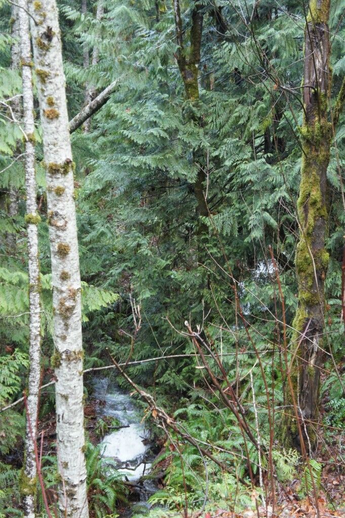 Property Photo: 0 L222/223 Arabian Drive WA 98320