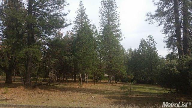 Property Photo:  6065 Happy Pines Drive  CA 95631 