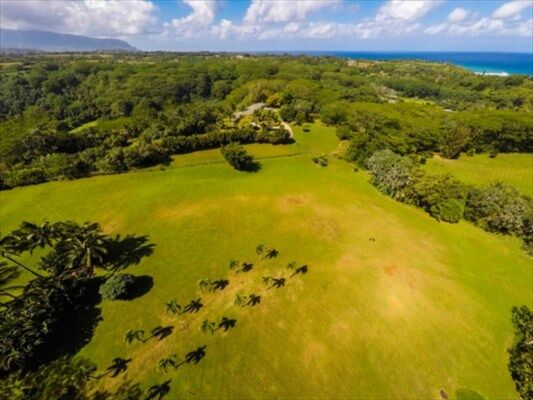 Property Photo:  4980 Kahiliholo Rd 2  HI 96754 