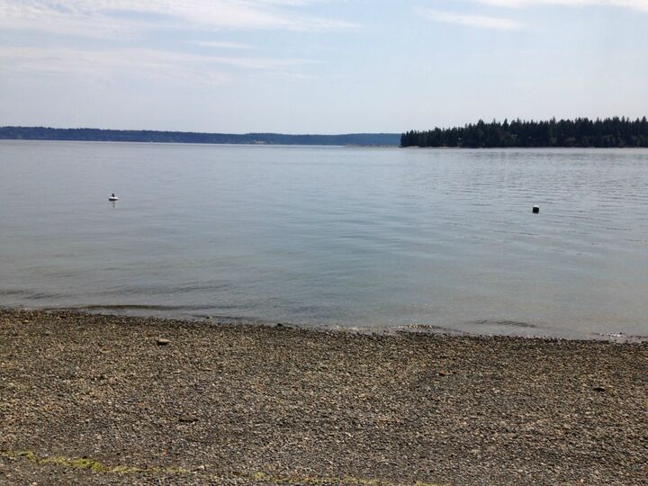 Property Photo: 601 E Rauschert Rd WA 98546