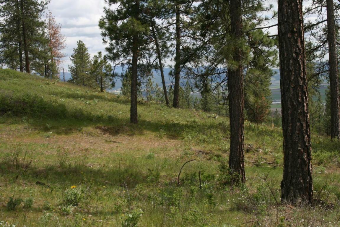 Property Photo:  Xxx Snead (Lot 31) Dr W  WA 99109 