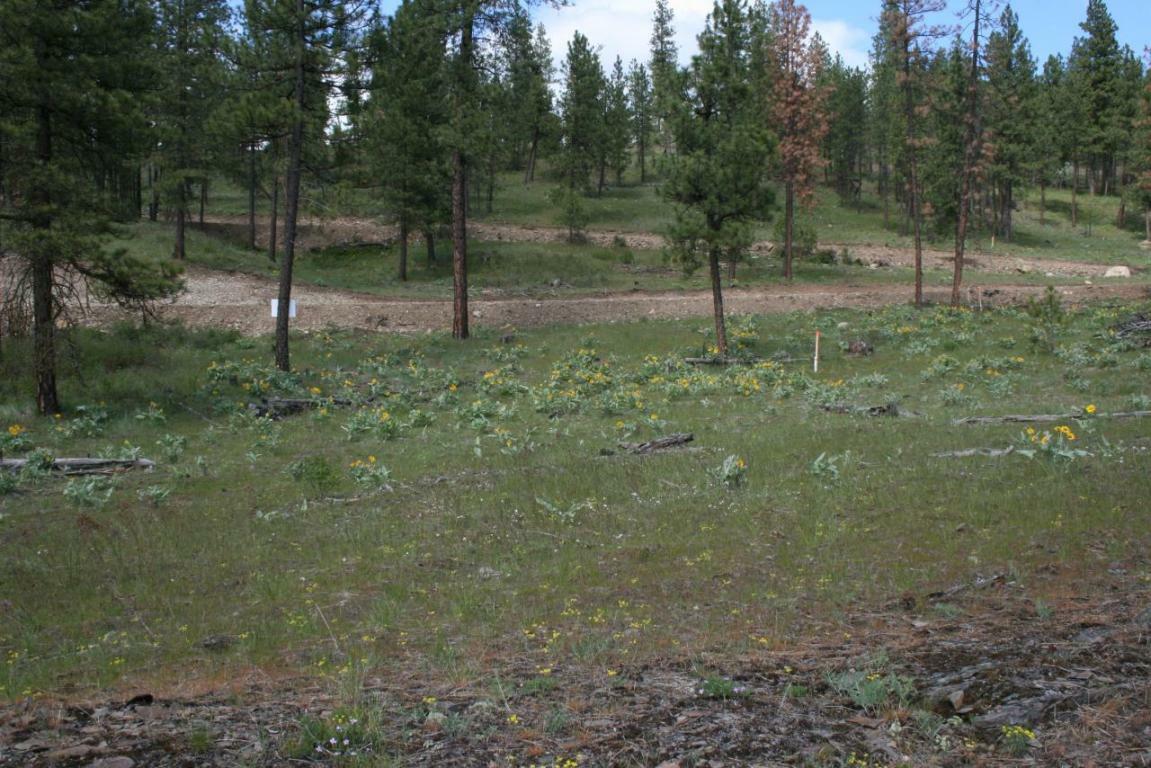 Xxx Palmer (Lot 23) Loop  Chewelah WA 99109 photo