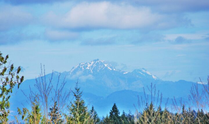 Property Photo: 151 Hawthorne WA 98584