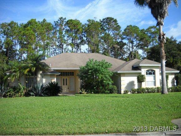 Property Photo: 41 Creek Bluff Way FL 32174