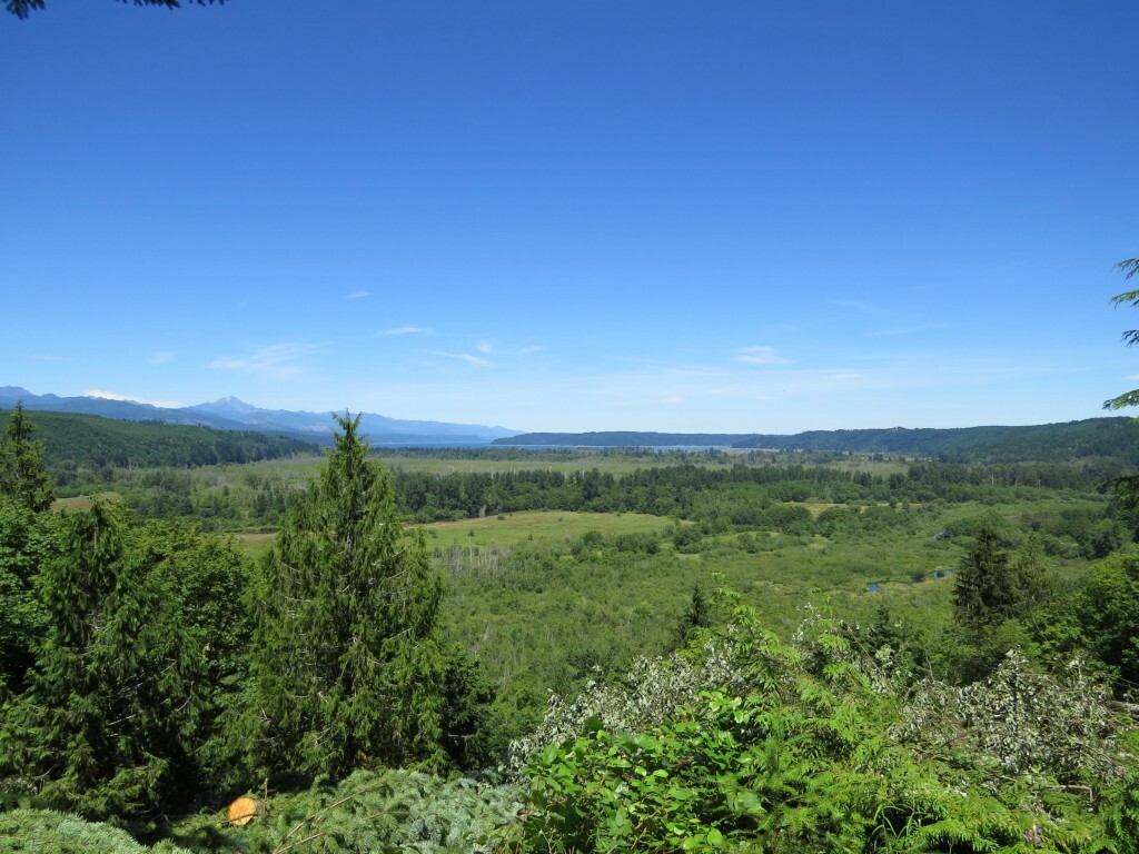 Property Photo: 1251 E Eagle Point Dr WA 98584