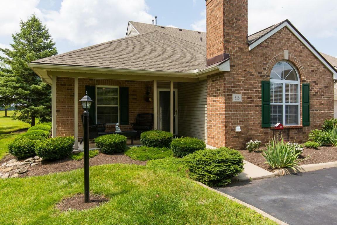 Property Photo: 313 Chardonnay Lane OH 43035