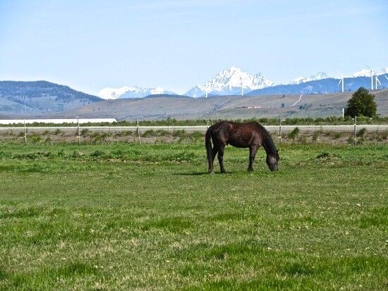 Property Photo:  2233 Thorp Cemetery Rd  WA 98946 