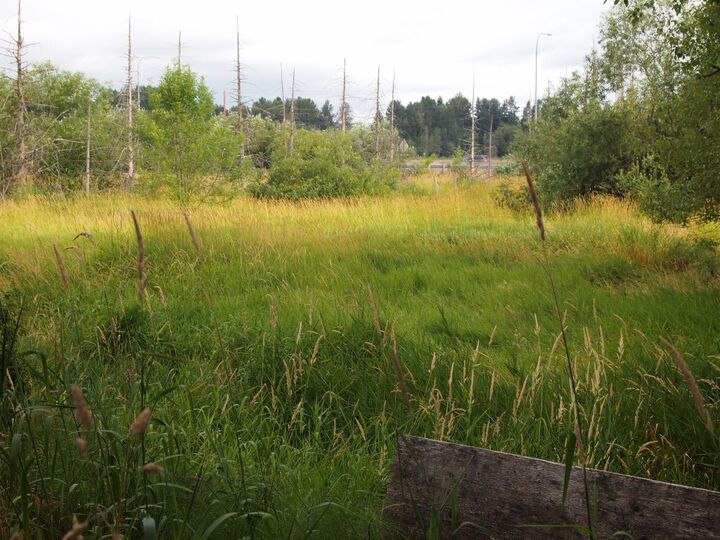 Property Photo:  5110 192nd Place NE  WA 98074 