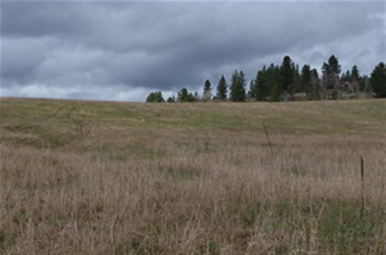 Property Photo:  11707 E Tallman Rd  WA 99003 