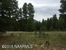 845 N Inland Shores Drive  Flagstaff AZ 86004 photo