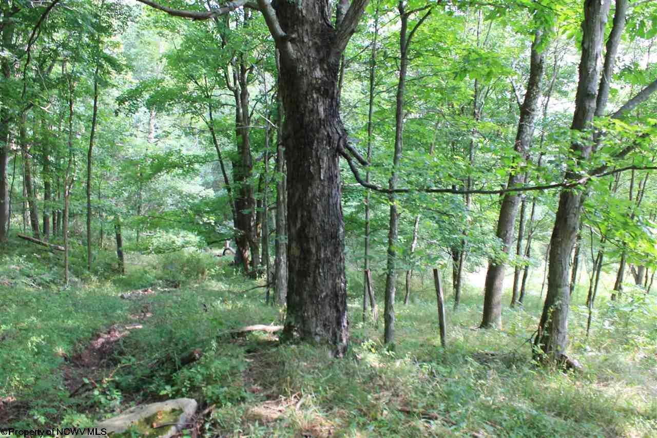 Property Photo:  Lot 7 High Mountain Road High Mountain  WV 26270 