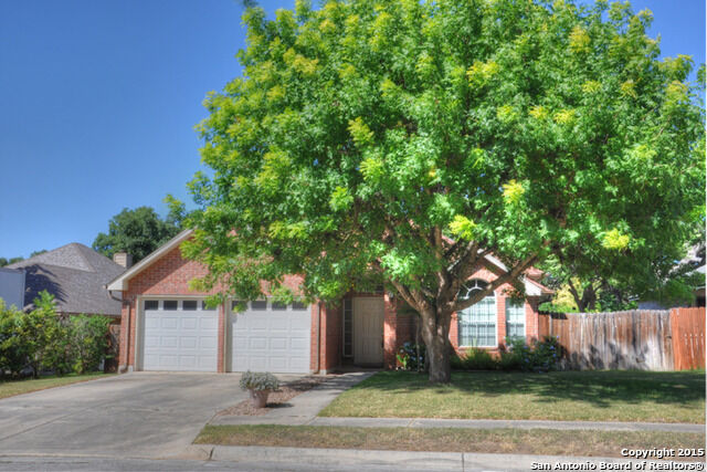 Property Photo: 3920 Ogelthorpe TX 78154