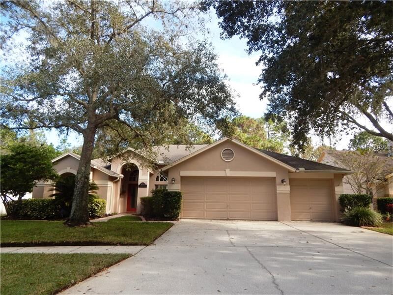 Property Photo:  10513 Chambers Drive  FL 33626 