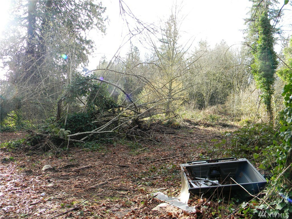 Property Photo:  0 Park Dr SE Lot 3  WA 98367 