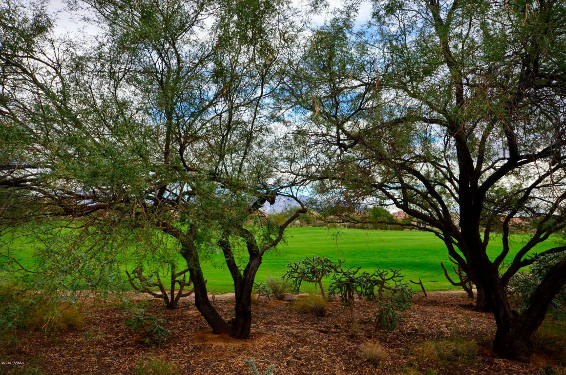 Property Photo: 13094 N Desert Flora Lane AZ 85658