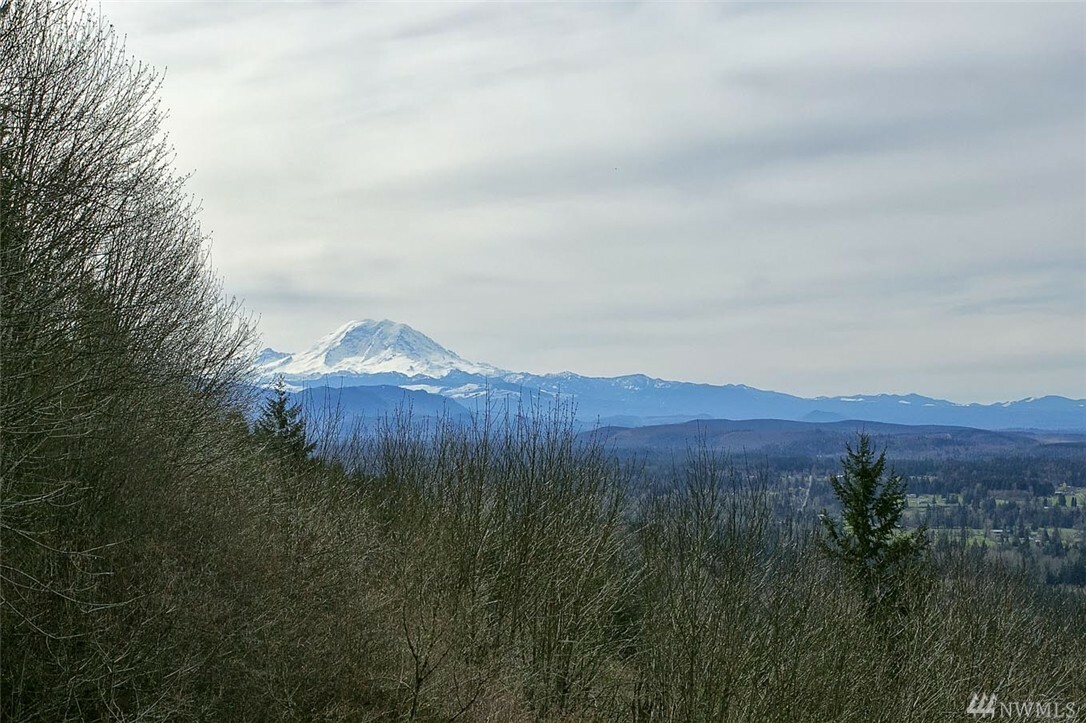 Property Photo: 27501 SE 154th Place WA 98027