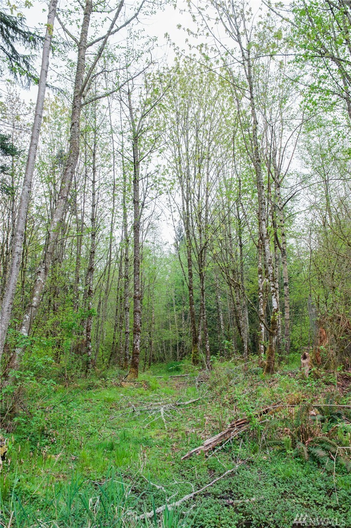 Property Photo:  5400 Mission Rd  WA 98226 