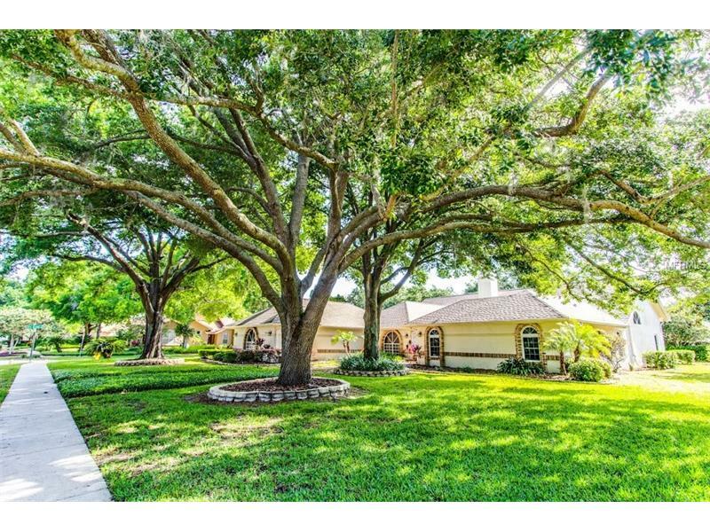 Property Photo: 18007 Clear Lake Drive FL 33548