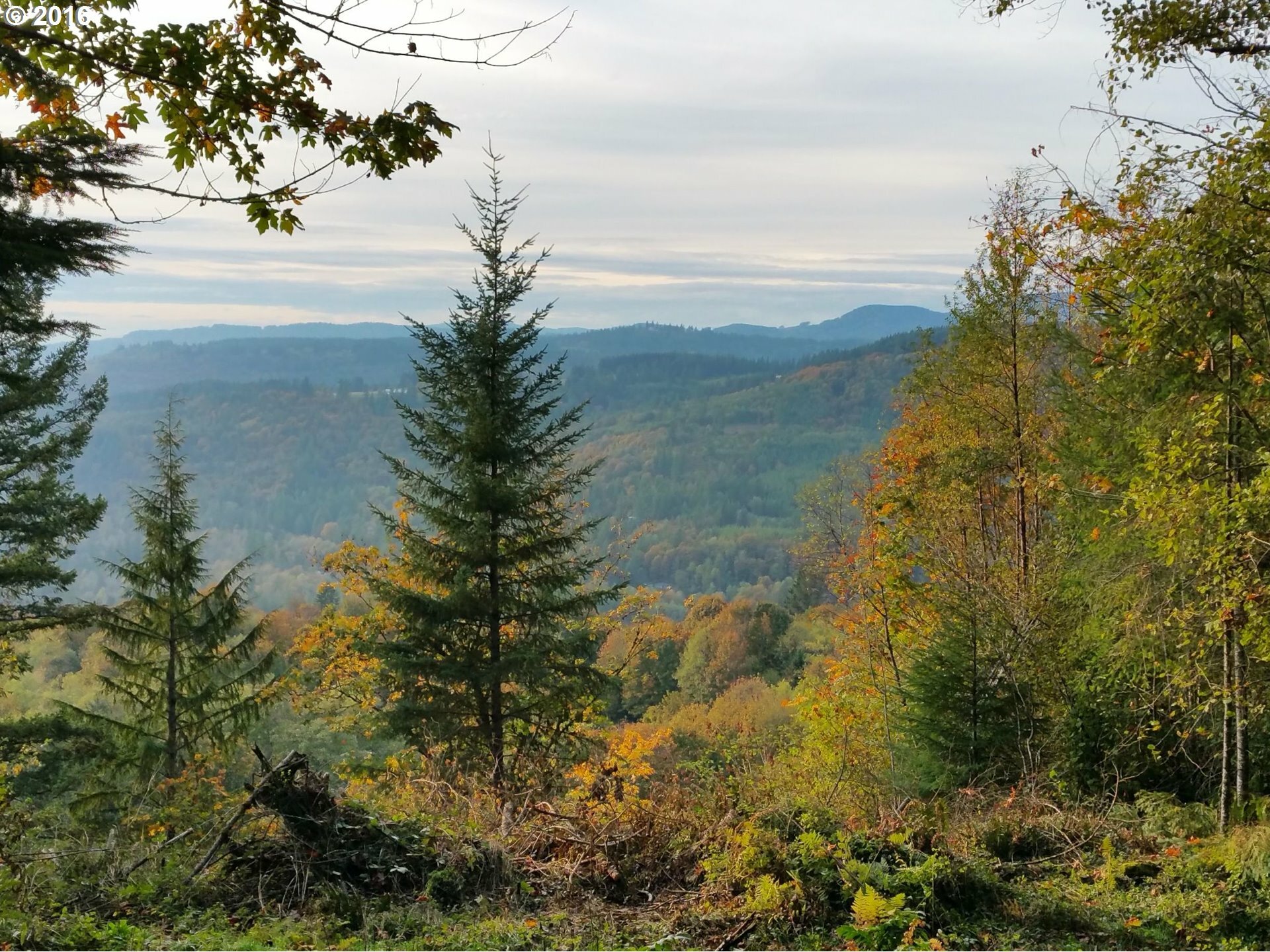 Property Photo:  1251 Mabee Mines Rd  WA 98671 