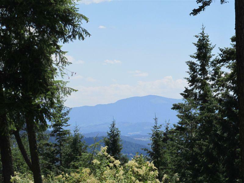 Property Photo:  850X Finley Gulch  WA 99114 