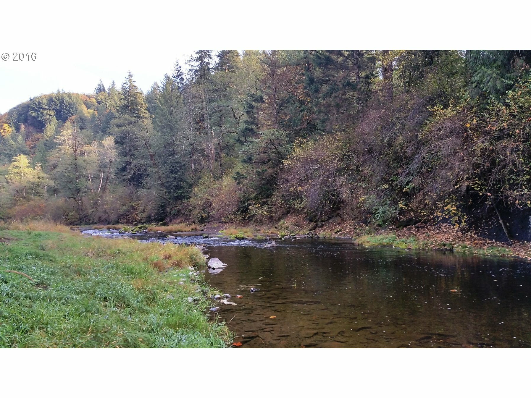 Property Photo:  11032 Washougal River Rd  WA 98671 