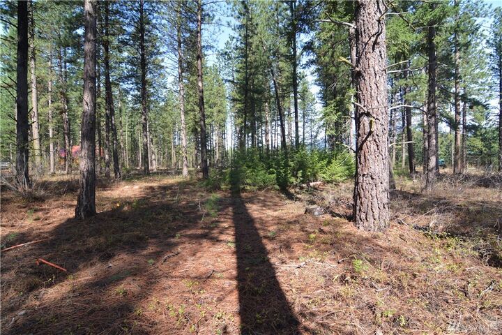 Property Photo:  10 Liberty Lane  WA 98862 