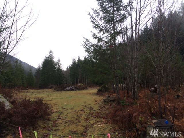 Property Photo:  12080 Foss River Rd NE  WA 98288 