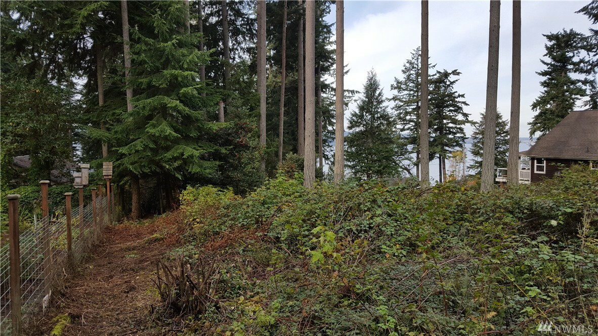 Property Photo:  0 Alder Ave  WA 98249 