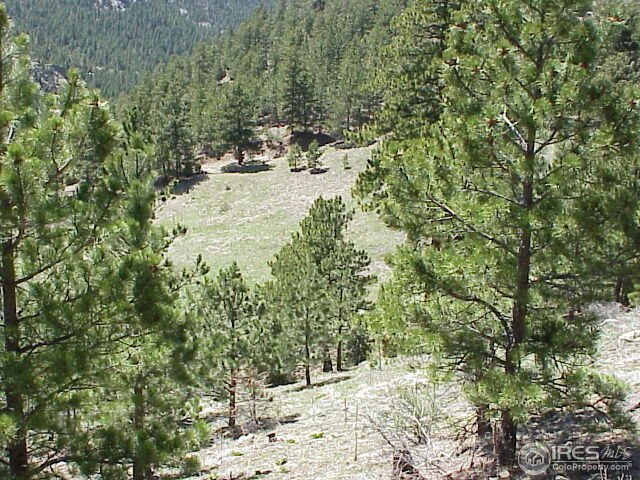 Property Photo: 0 Lefthand Canyon Dr CO 80455