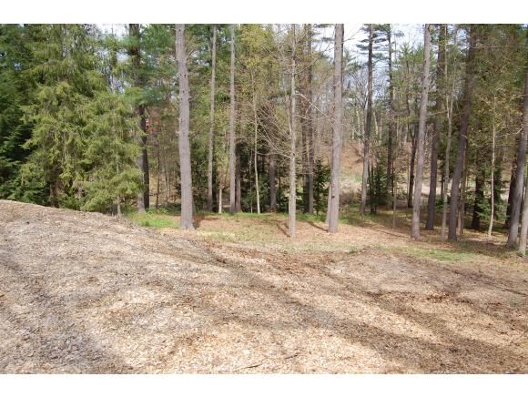 Property Photo: 22 Bayview Road NH 03824