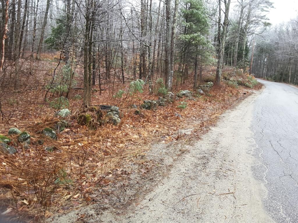 Property Photo:  Lot 1 Sugar Hill Road  NH 03229 